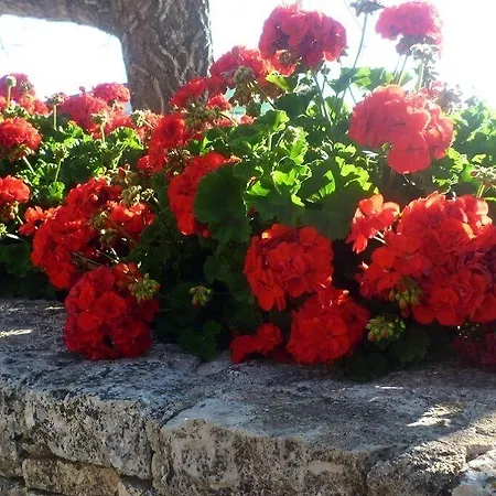 Agriturismo Regno Di Marzagaglia-3